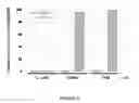 Fig. 09 - RAPID SCREEN FOR REPRODUCTIVE TOXICANTS