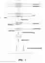 Fig. 02 - Quantification of gene expression