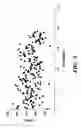 Fig. 03 - Quantification of gene expression