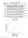 Fig. 04 - Quantification of gene expression