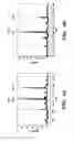 Fig. 05 - Quantification of gene expression
