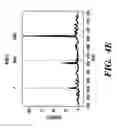 Fig. 07 - Quantification of gene expression