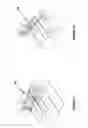Fig. 12 - Assemblies for multiplex assays