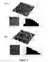 Fig. 03 - Microwave accelerated assays