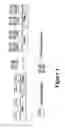 Fig. 04 - Microwave accelerated assays