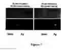 Fig. 08 - Microwave accelerated assays
