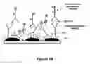 Fig. 19 - Microwave accelerated assays
