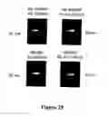 Fig. 27 - Microwave accelerated assays