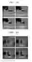 Fig. 10 - MICROFLUIDIC DEVICE FOR SIMULTANEOUSLY CONDUCTING MULTIPLE ANALYSES