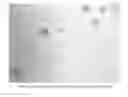 Fig. 01 - Method of preparing greases