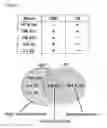 Fig. 07 - HIGHLY SENSITIVE DETECTION METHOD FOR HIGHLY VIRULENT ORAL CAVITY BACTERIA