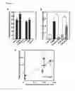 Fig. 08 - HIGHLY SENSITIVE DETECTION METHOD FOR HIGHLY VIRULENT ORAL CAVITY BACTERIA