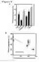 Fig. 09 - HIGHLY SENSITIVE DETECTION METHOD FOR HIGHLY VIRULENT ORAL CAVITY BACTERIA