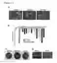 Fig. 11 - HIGHLY SENSITIVE DETECTION METHOD FOR HIGHLY VIRULENT ORAL CAVITY BACTERIA