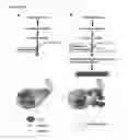 Fig. 15 - HIGHLY SENSITIVE DETECTION METHOD FOR HIGHLY VIRULENT ORAL CAVITY BACTERIA