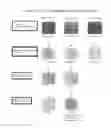 Fig. 17 - HIGHLY SENSITIVE DETECTION METHOD FOR HIGHLY VIRULENT ORAL CAVITY BACTERIA