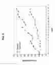 Fig. 09 - Peptides, pharmaceutical compositions comprising same and uses thereof