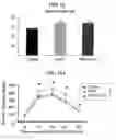 Fig. 10 - Inhibiting serum response factor (SRF) to improve glycemic control