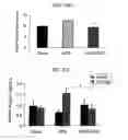 Fig. 11 - Inhibiting serum response factor (SRF) to improve glycemic control