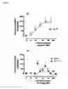 Fig. 07 - METHODS AND COMPOSITIONS FOR THE TREATMENT OF FLUID RETENTION DISORDERS