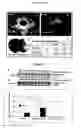 Fig. 06 - Methods, systems, and compositions for calpain inhabition