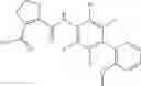 Fig. 23 - COMBINATIONAL THERAPY FOR TREATING AUTOIMMUNE DISEASE