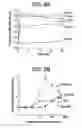 Fig. 10 - Spiperone derivatives and methods of treating disorders