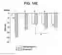 Fig. 25 - Spiperone derivatives and methods of treating disorders