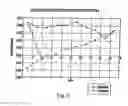 Fig. 06 - Polymorphic forms of 3-(4-amino-1-oxo-1,3 dihydro-isoindol-2-yl)-piperidine-2,6-dione