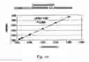 Fig. 45 - Polymorphic forms of 3-(4-amino-1-oxo-1,3 dihydro-isoindol-2-yl)-piperidine-2,6-dione