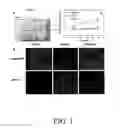 Fig. 02 - Compositions and methods for treating hyperlipidemias