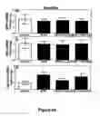Fig. 09 - Compositions and methods for treating hyperlipidemias