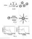 Fig. 02 - Interior functionalized hyperbranched dendron-conjugated nanoparticles and uses thereof