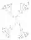 Fig. 07 - Interior functionalized hyperbranched dendron-conjugated nanoparticles and uses thereof