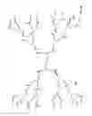 Fig. 09 - Interior functionalized hyperbranched dendron-conjugated nanoparticles and uses thereof