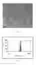 Fig. 02 - Formulation of silibinin with high efficacy and prolonged action and the preparation method thereof