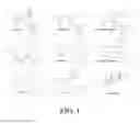 Fig. 02 - Polyphenol proteasome inhibitors, synthesis, and methods of use
