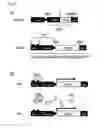 Fig. 03 - Controlling transgene expression across the skin