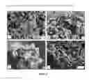 Fig. 06 - CELLULAR FOAM ADDITIVE