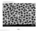 Fig. 07 - CELLULAR FOAM ADDITIVE