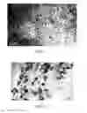 Fig. 02 - Polyester nanocomposites