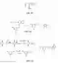 Fig. 07 - Fluorescent methods and materials for directed biomarker signal amplification
