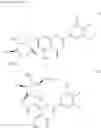 Fig. 09 - Sulfated C-glycoside, method for isolating same and method for synthesizing same
