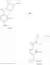 Fig. 07 - NOVEL PROCESSES FOR THE PREPARATION OF CYCLOPROPYL-AMIDE DERIVATIVES
