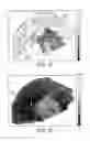 Fig. 03 - METHOD AND APPARATUS FOR MULTIMODAL IMAGING OF BIOLOGICAL TISSUE