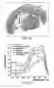 Fig. 04 - METHOD AND APPARATUS FOR MULTIMODAL IMAGING OF BIOLOGICAL TISSUE