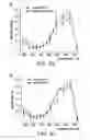 Fig. 05 - METHOD AND APPARATUS FOR MULTIMODAL IMAGING OF BIOLOGICAL TISSUE