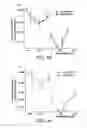 Fig. 08 - METHOD AND APPARATUS FOR MULTIMODAL IMAGING OF BIOLOGICAL TISSUE