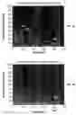 Fig. 35 - AUTOMATED DETECTION OF SLEEP AND WAKING STATES