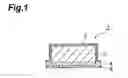 Fig. 02 - Transdermal preparation